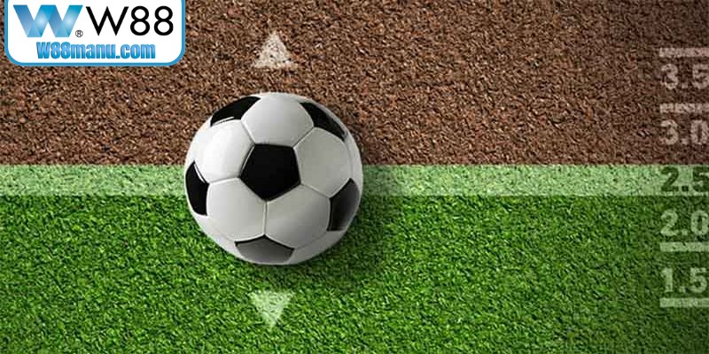 Hiểu rõ phong độ các đội được biết là chìa khóa áp dụng kèo W88 thành công